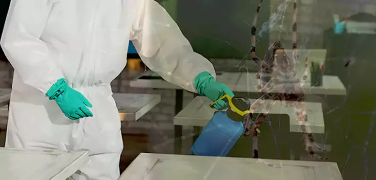 Why Buyers Still Want Homes With Pest Infestations in Warren, MI?