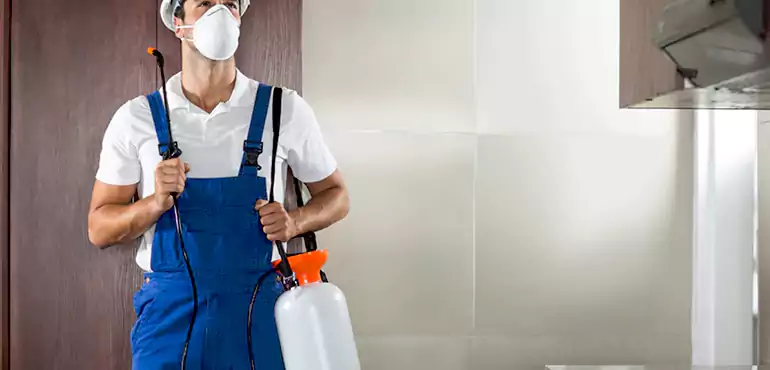 Why Warren Homeowners Choose Us When Pests Make Selling Difficult